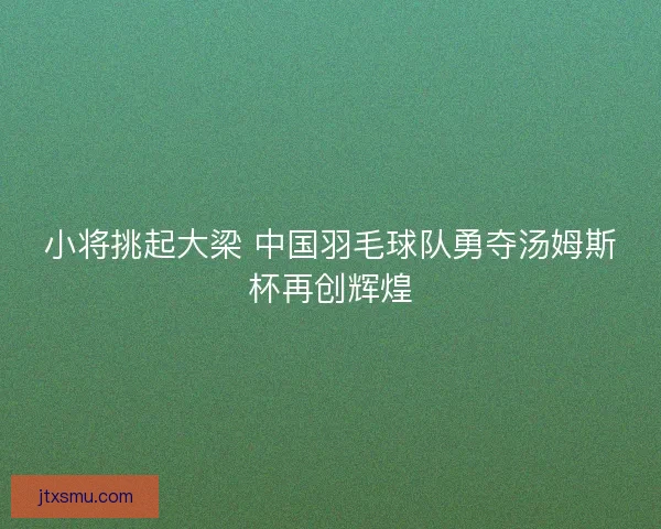 小将挑起大梁 中国羽毛球队勇夺汤姆斯杯再创辉煌